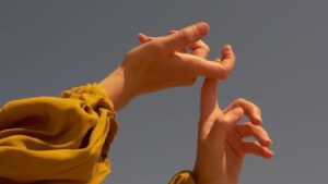 meditacion 5 dic
