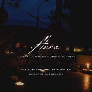 aura | viaje nocturno en el bosque (en grupo)