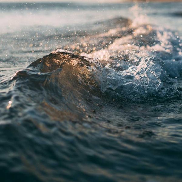 mourad-saadi-GyDktTa0Nmw-unsplash